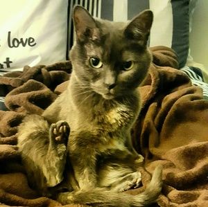 Meet your Posher, Haley